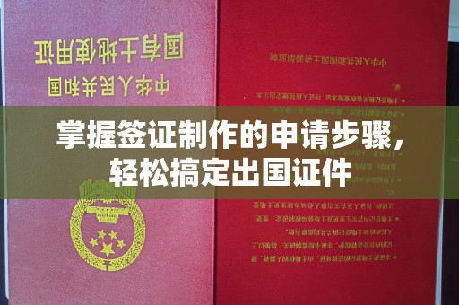 锡山掌握签证制作的申请步骤，轻松搞定出国证件